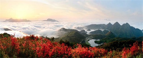 高山區象山美麗景色.jpg